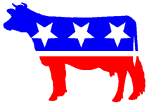 Patriotic Cow